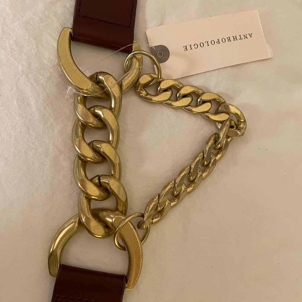 Anthropologie belt
